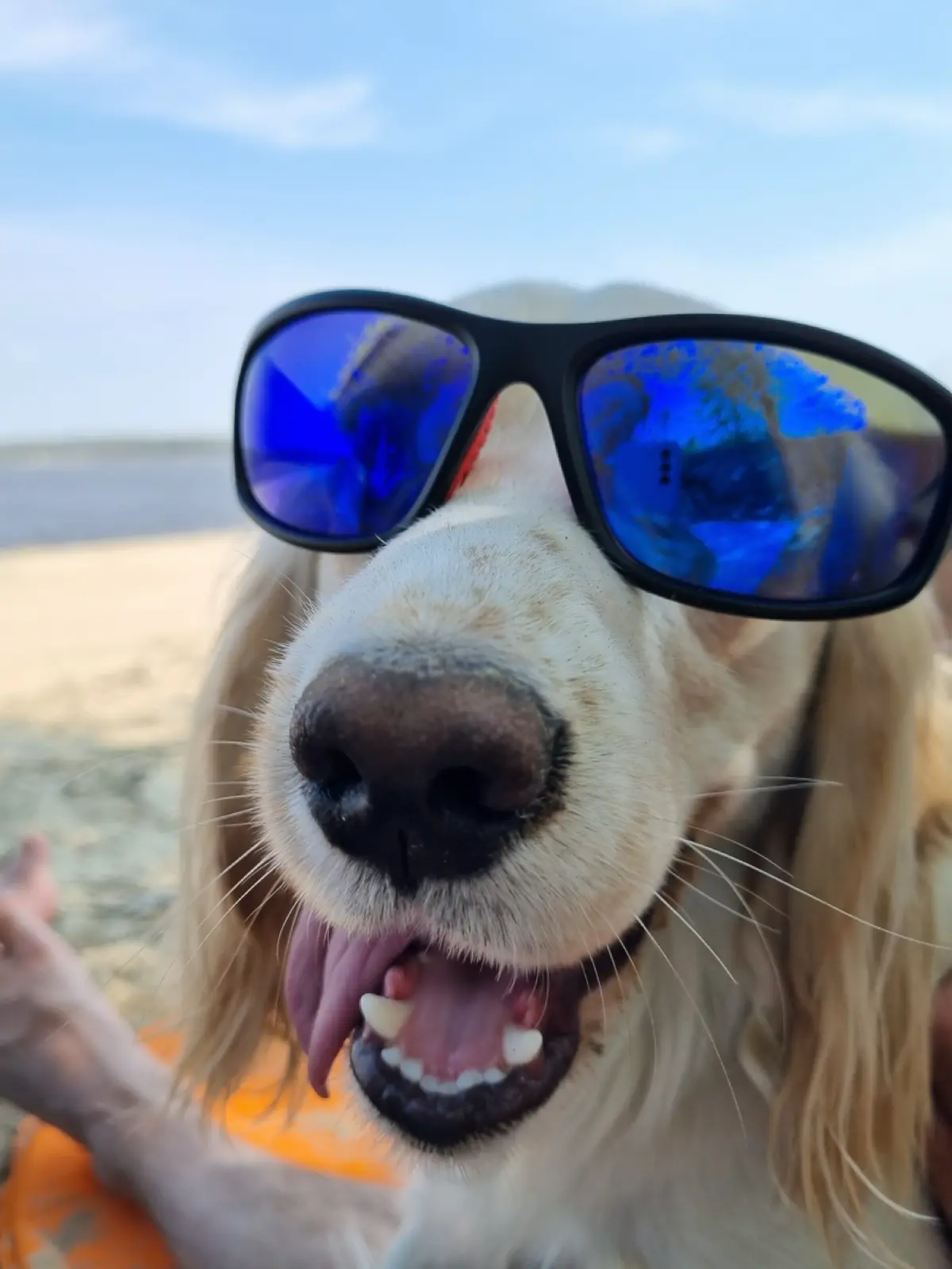 Мои ошибки в продажах после провального старта в digital | Сетка — социальная сеть от hh.ru