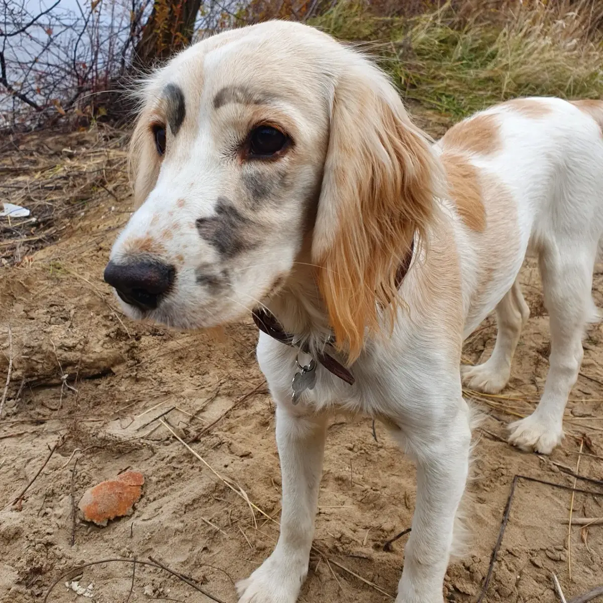 Мои ошибки в продажах после провального старта в digital | Сетка — социальная сеть от hh.ru