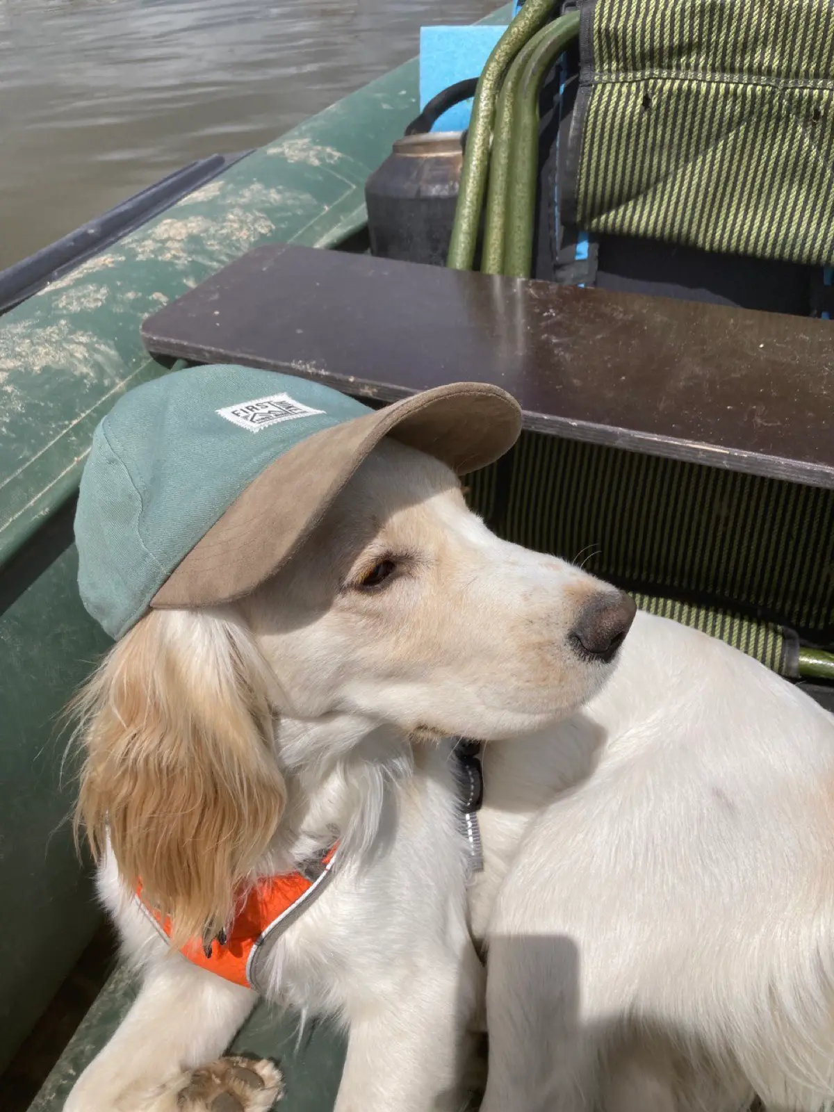 Мои ошибки в продажах после провального старта в digital | Сетка — социальная сеть от hh.ru