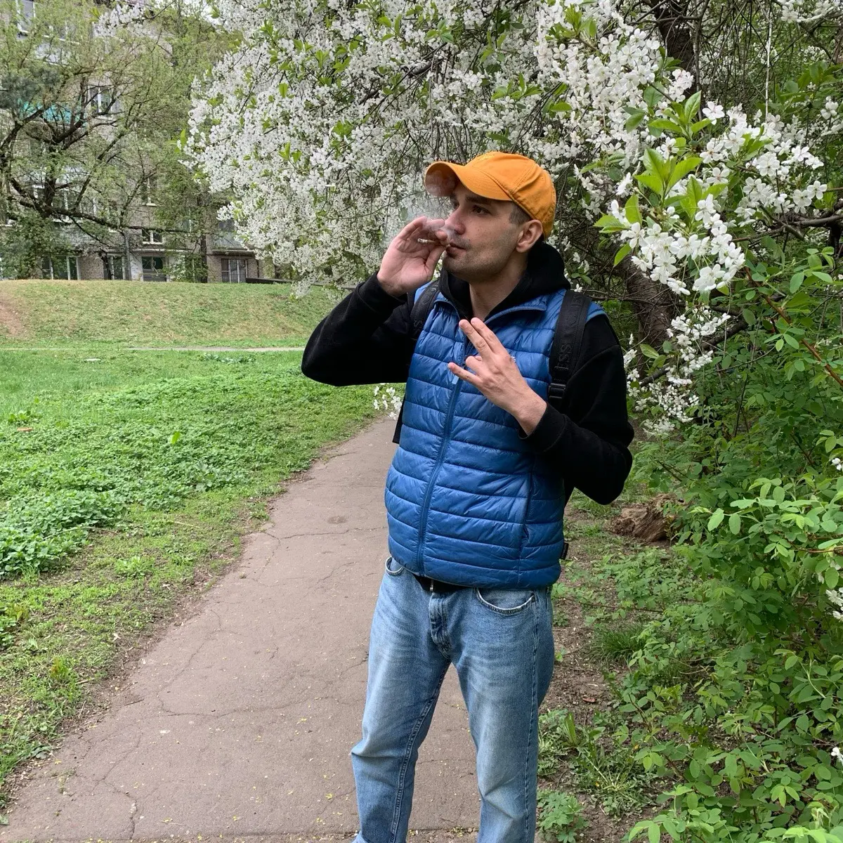 Network member avatar