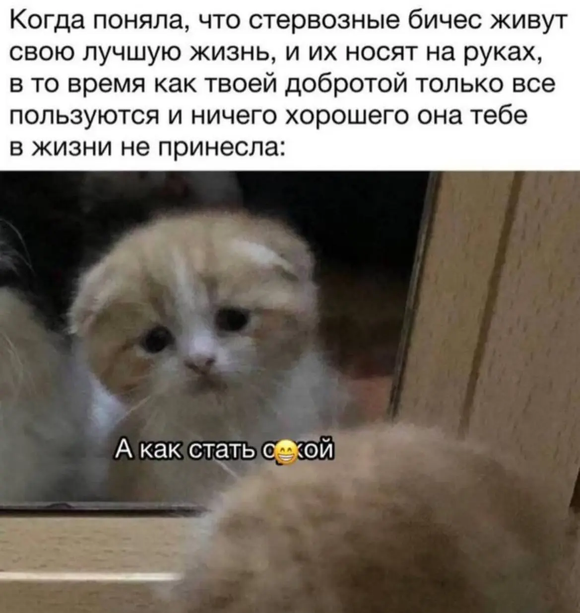 День 127
Он был такой тяжелый эмоционально: слезы, мысленная жвачка, грусть и стыд | Сетка — социальная сеть от hh.ru