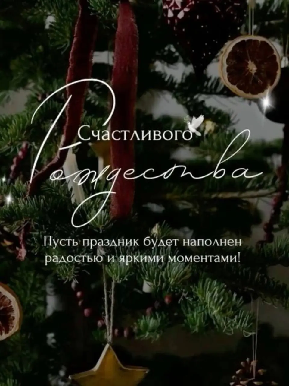 С Рождеством 🤍
Пусть в эти светлые дни станет чуть тише внутри, спокойнее в мыслях и теплее на душе | Сетка — социальная сеть от hh.ru