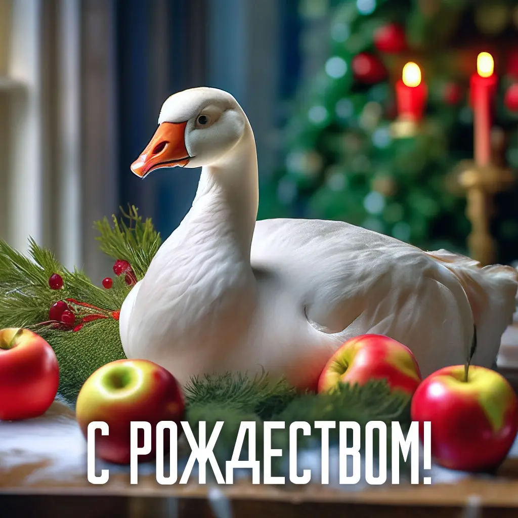 С рождеством! | Сетка — социальная сеть от hh.ru