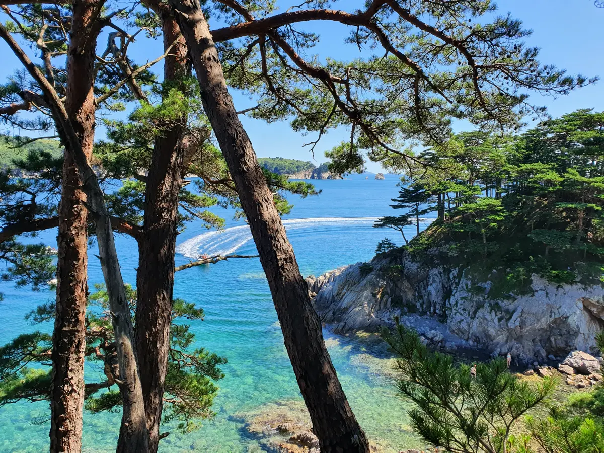 Как я продал ТЗ за 50к и разругался с клиентом💩 | Сетка — социальная сеть от hh.ru