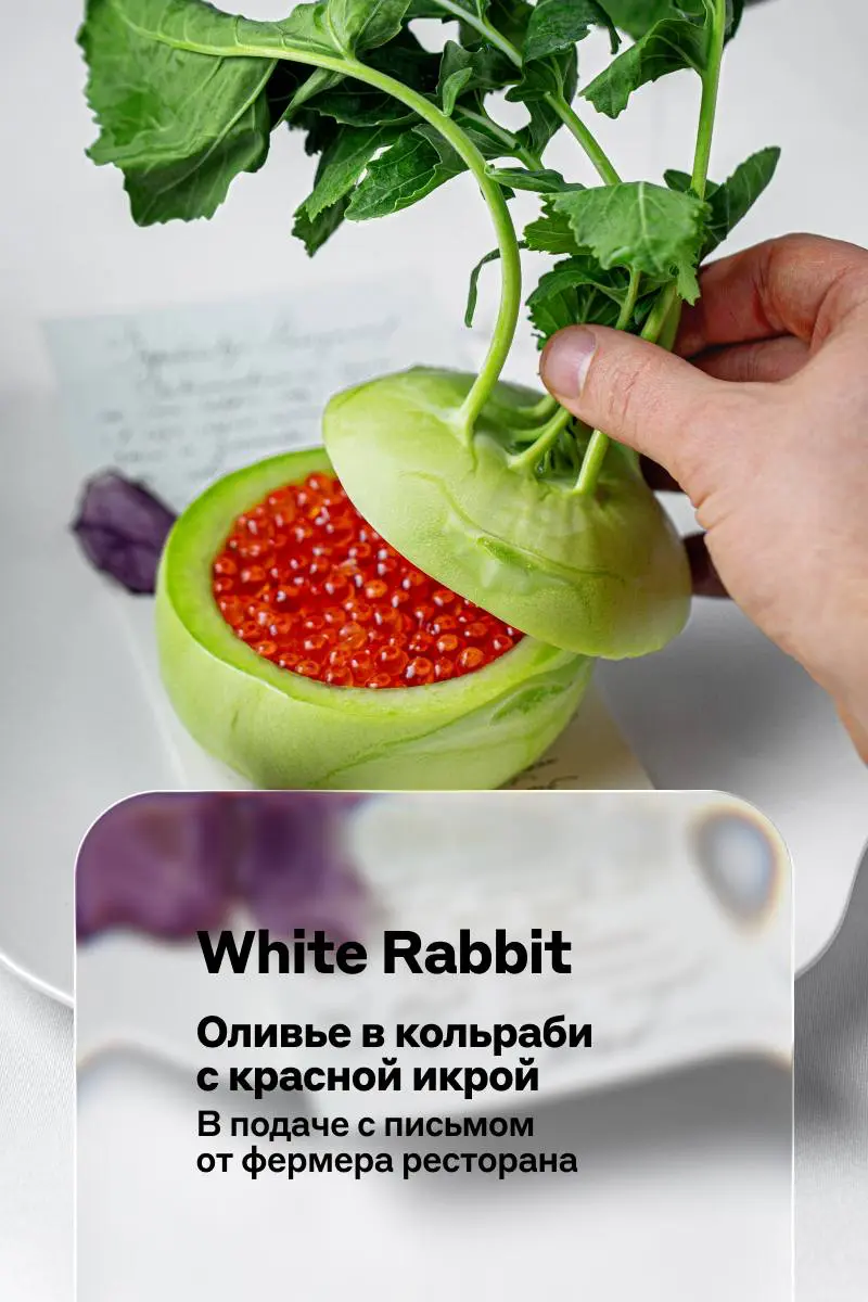 Что-то нереальное с 🅰️льфа Only | Сетка — социальная сеть от hh.ru