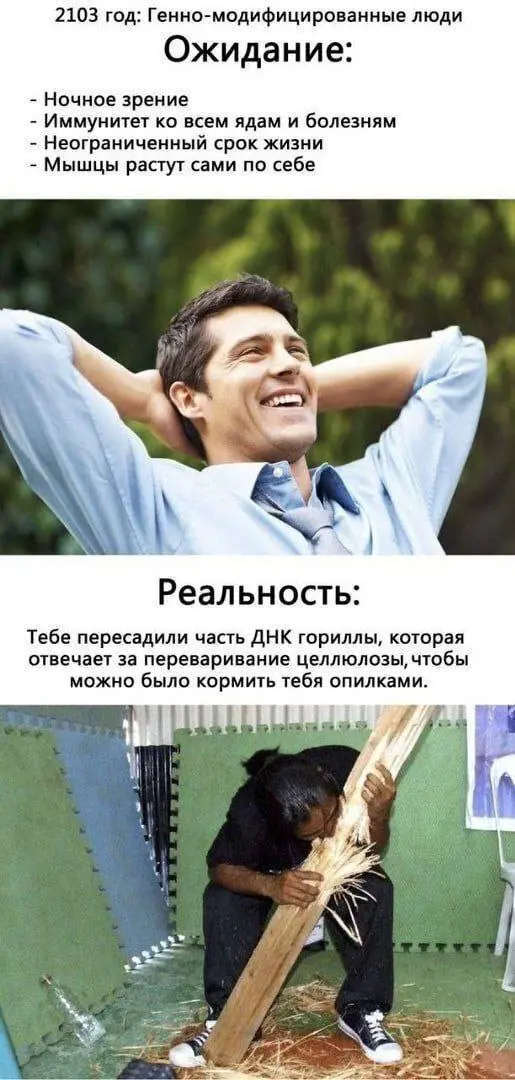 Полезная суперспособность | Сетка — социальная сеть от hh.ru