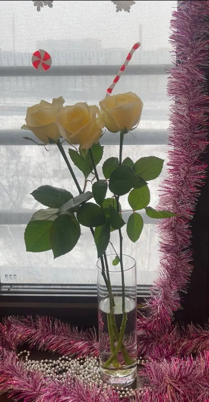 Действую согласно гороскопу 🤍
Белое на белом 🤍❤️
#Львы, порадуйте себя эстетикой и чем-то прекрасным, немного визуальной красоты вам не повредит | Сетка — социальная сеть от hh.ru