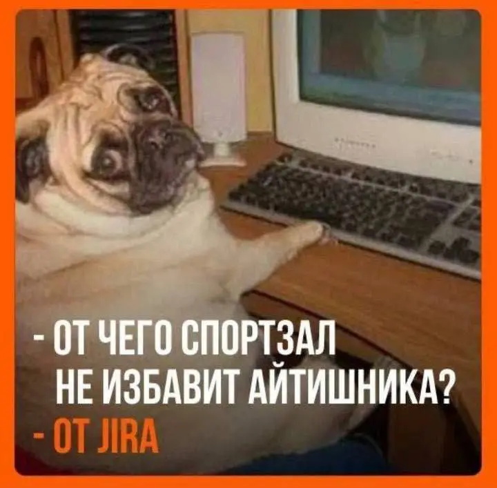 Ой смеюсь | Сетка — социальная сеть от hh.ru