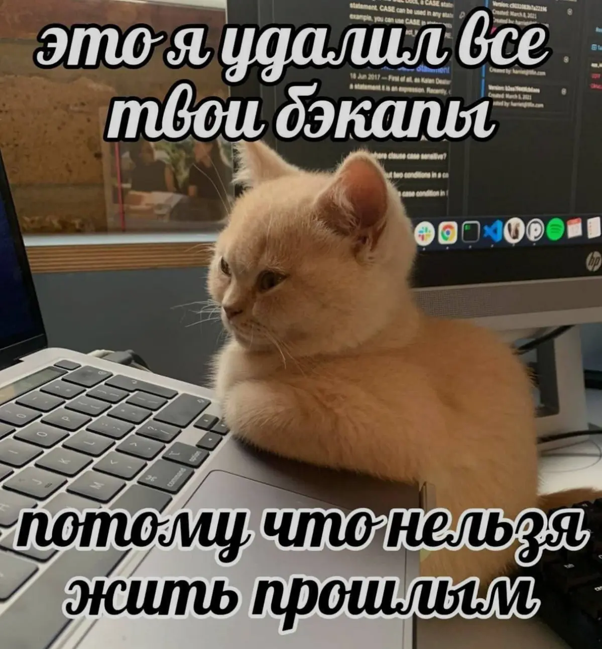 ❤️ - Убить маленького
😄 - Расчленить малюсенького
😢 - Пощадить малютку с кем не бывает | Сетка — социальная сеть от hh.ru