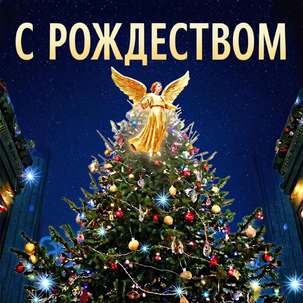 Счастливого Рождества!✨🎄 | Сетка — социальная сеть от hh.ru