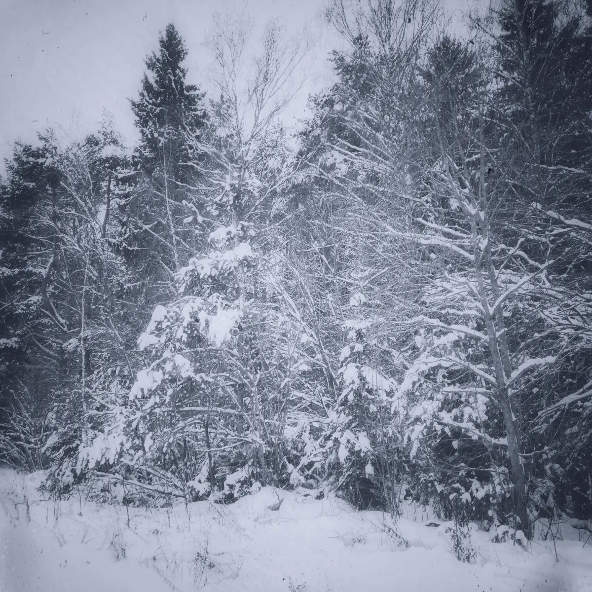 Зимние каникулы прошли в правильном месте. 😉 | Сетка — социальная сеть от hh.ru