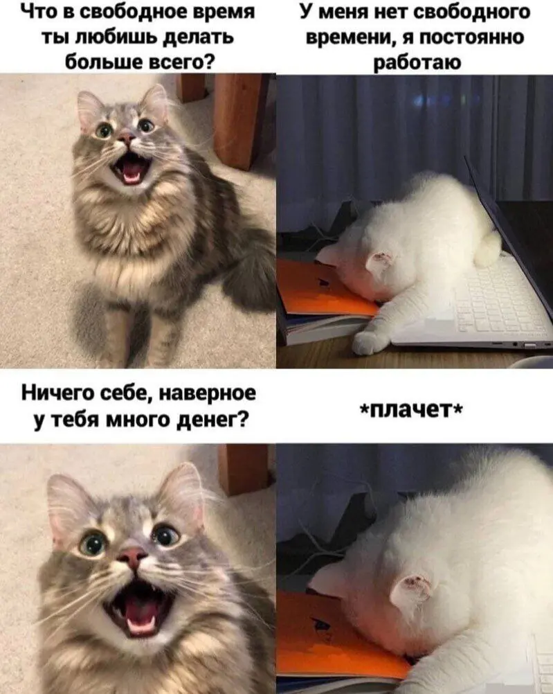 Давным-давно один очень мудрый человек сказал мне:
Если делать сразу много дел, то можно обделаться
Этот человек успешно строил карьеру, выполнял все задачи и жил полной жизнью 💕
А другой умный челове... | Сетка — социальная сеть от hh.ru