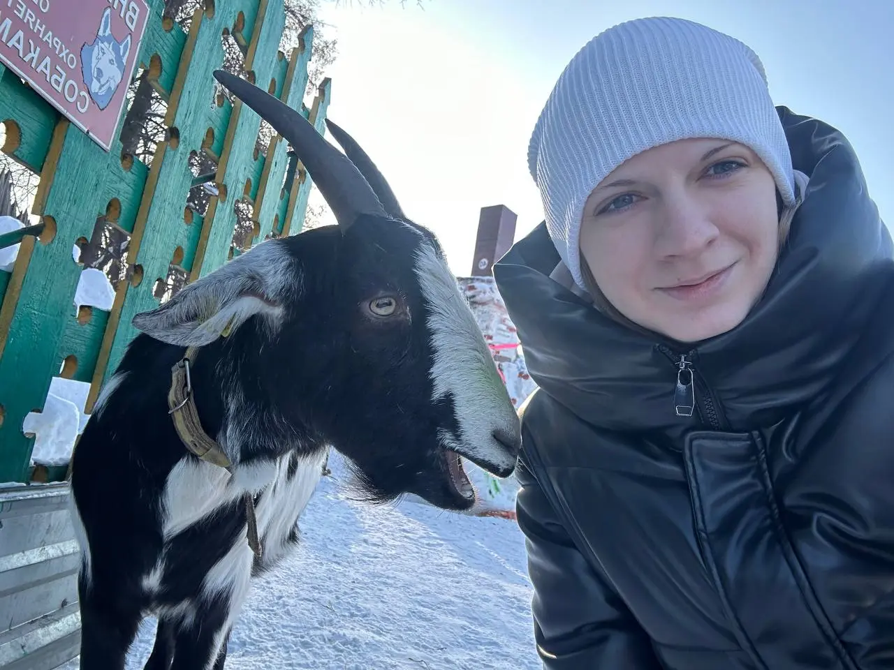 Выходные проходят весело🎄 Мы вот вернулись из Сибири, ездили отмечать НГ к моим родителям в Прокопьевск, было большое путешествие на поезде 29 часов в одну сторону (выкупить купе было отличным решение... | Сетка — социальная сеть от hh.ru