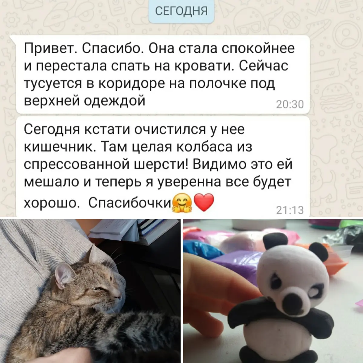 Целительство животных.
Работа происходит по фото.
Не чаще 1 раза в неделю.
Даются рекомендации. | Сетка — социальная сеть от hh.ru