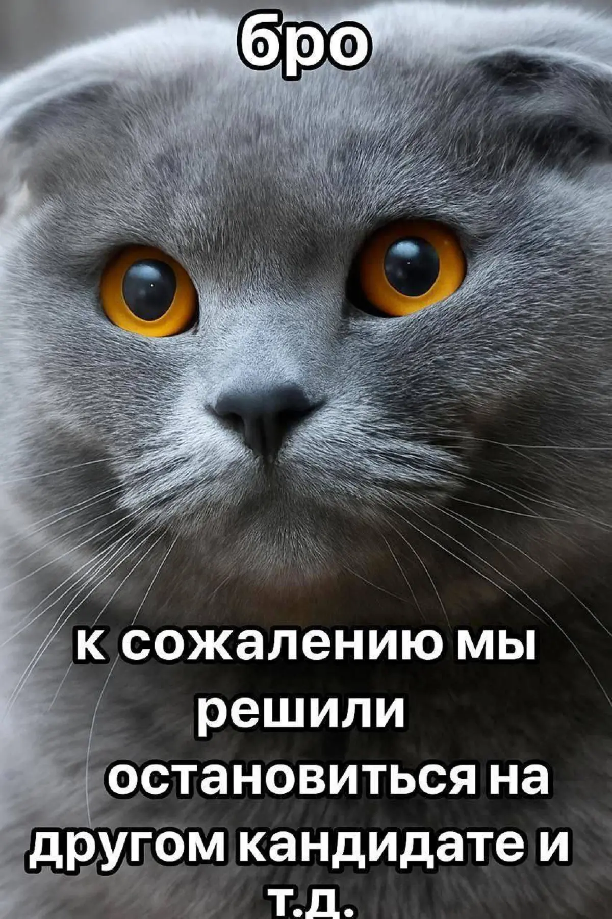 HR. Эксперты или администраторы? | Сетка — социальная сеть от hh.ru