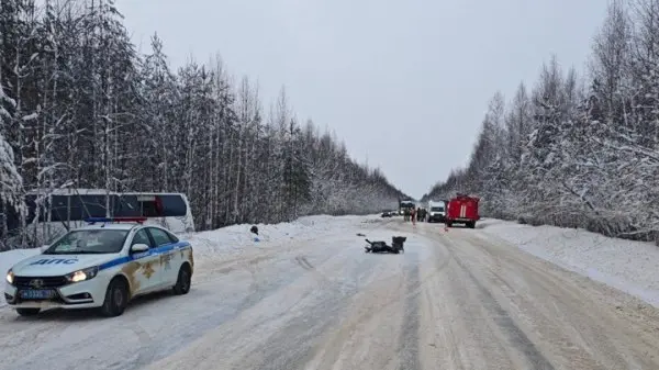 Пассажиры попавшего в ДТП экскурсионного автобуса вернулись в Сыктывкар
@komiedu
Telegram
Читать Вести в MAX Все пассажиры экскурсионного автобуса, попавшего в ДТП в Коркеросском районе Республики Ком... | Сетка — социальная сеть от hh.ru