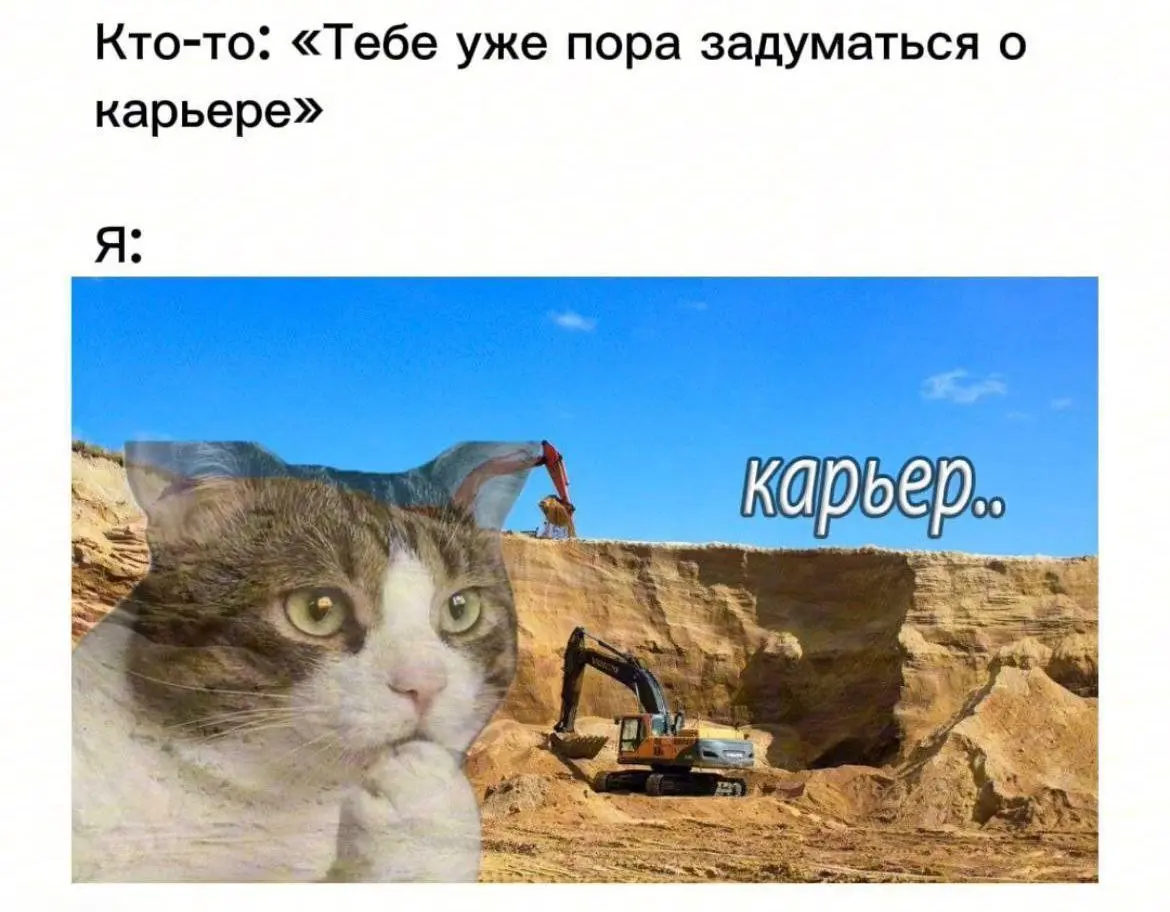 В 2026 году уже пора 😂
#Юмор@poldner #Коты@poldner | Сетка — социальная сеть от hh.ru