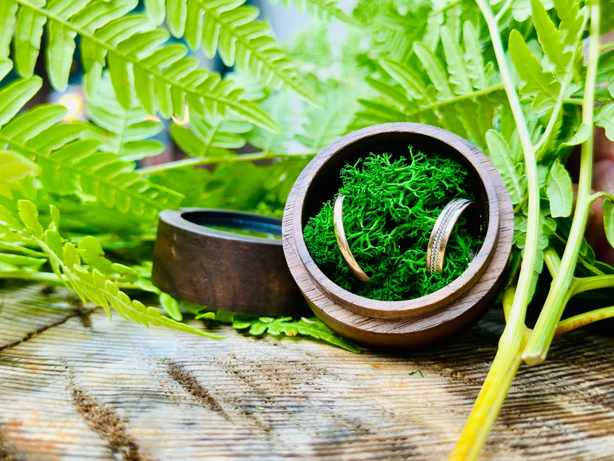 Я - Фотограф Флорист 🍀🌿🌾 | Сетка — социальная сеть от hh.ru