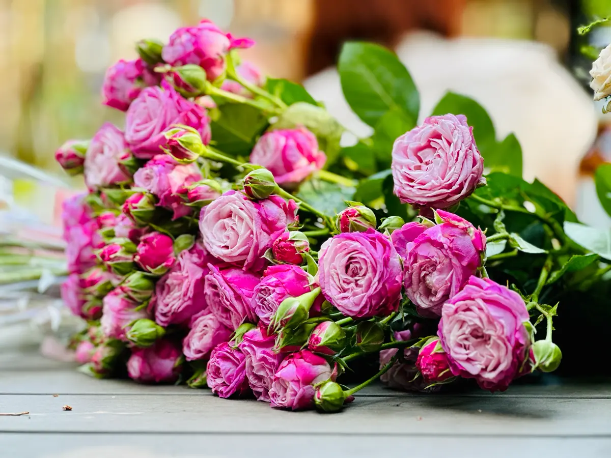 Я - Фотограф Флорист 🍀🌿🌾 | Сетка — социальная сеть от hh.ru