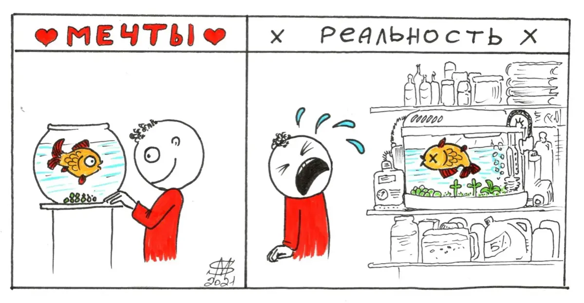 Стоит ли открывать ПВЗ Яндекс Маркет без опыта? | Сетка — социальная сеть от hh.ru