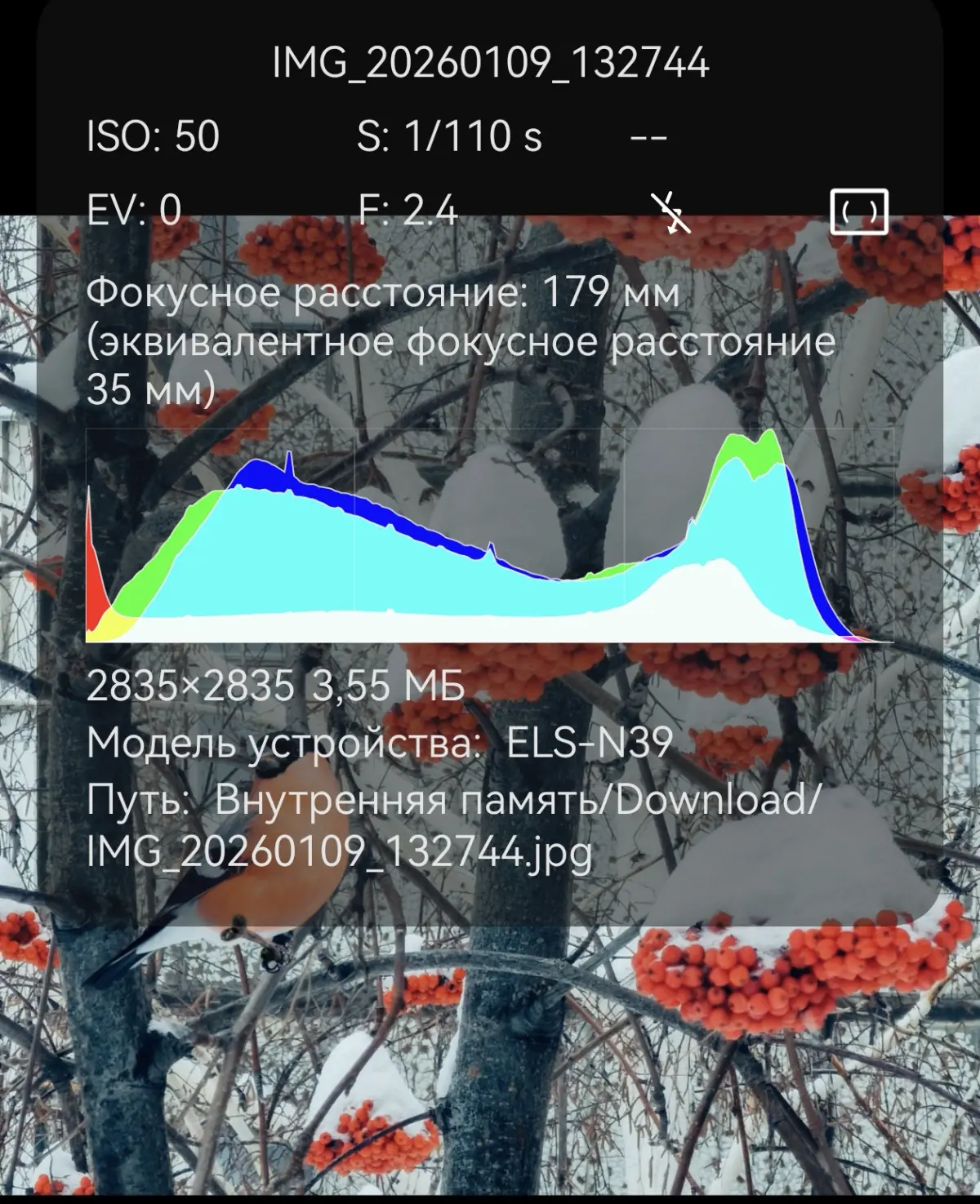comment image