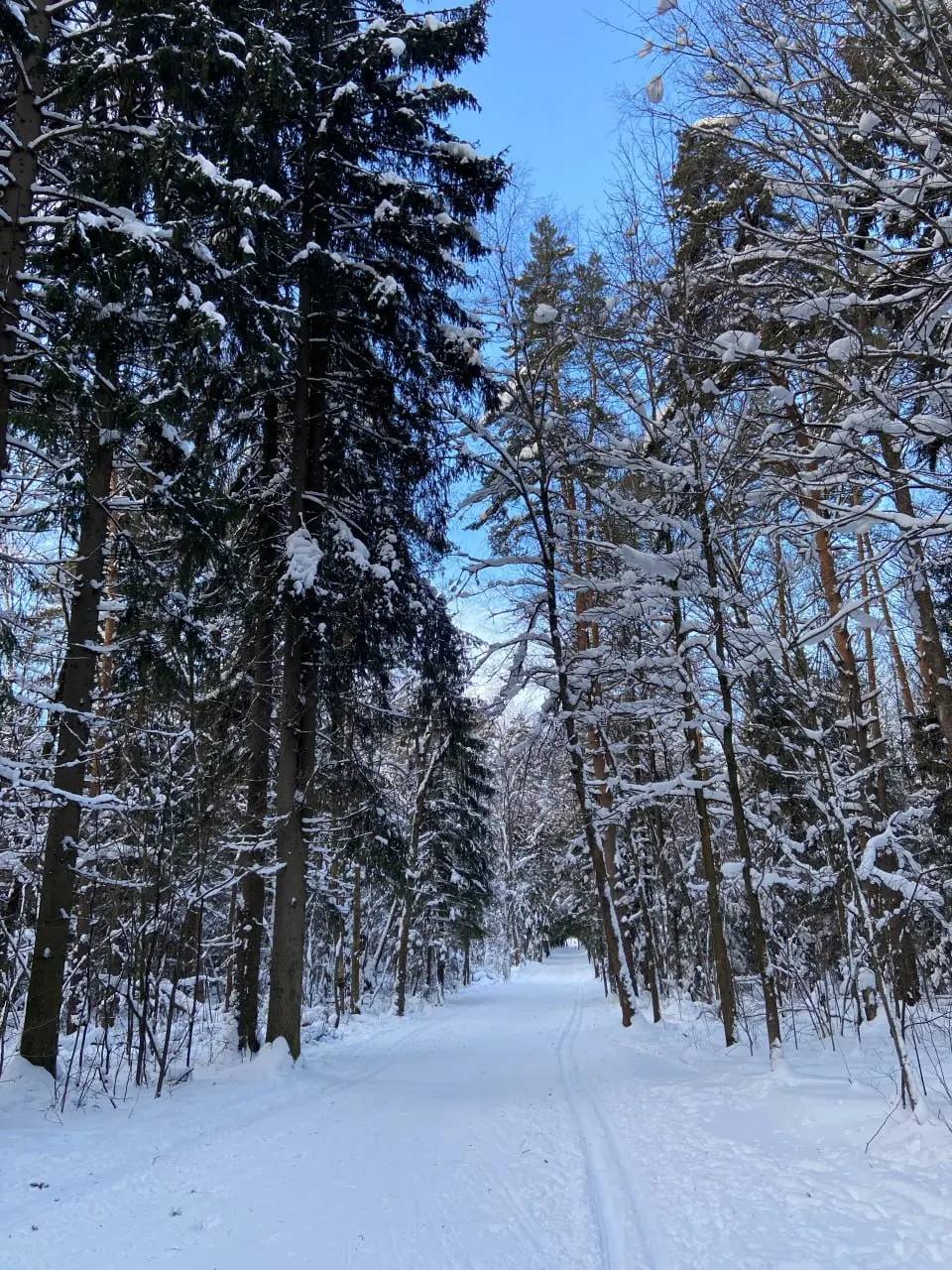 🎿Где покататься на лыжах в Москве
📍Мамонов Овраг, территория Московского дворца пионеров
🗓Ежедневно 10:00-22:00
Вход свободный, проката нет
📍ВДНХ
🗓Вт-Вс 10:00-22:00
Вход свободный, прокат есть
📍Парк Я... | Сетка — социальная сеть от hh.ru