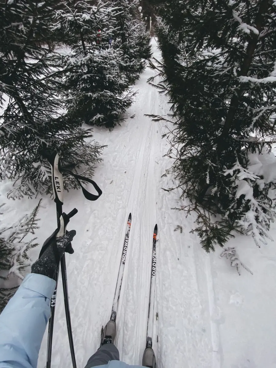 🎿Где покататься на лыжах в Москве
📍Мамонов Овраг, территория Московского дворца пионеров
🗓Ежедневно 10:00-22:00
Вход свободный, проката нет
📍ВДНХ
🗓Вт-Вс 10:00-22:00
Вход свободный, прокат есть
📍Парк Я... | Сетка — социальная сеть от hh.ru