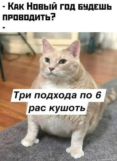 Сегодня буквально на секунду мелькнуло две мысли:
1. Хочу сделать разгрузочный день от еды. Даже при условии, что я не обжиралась.
2. В принципе, можно уже и поработать | Сетка — социальная сеть от hh.ru