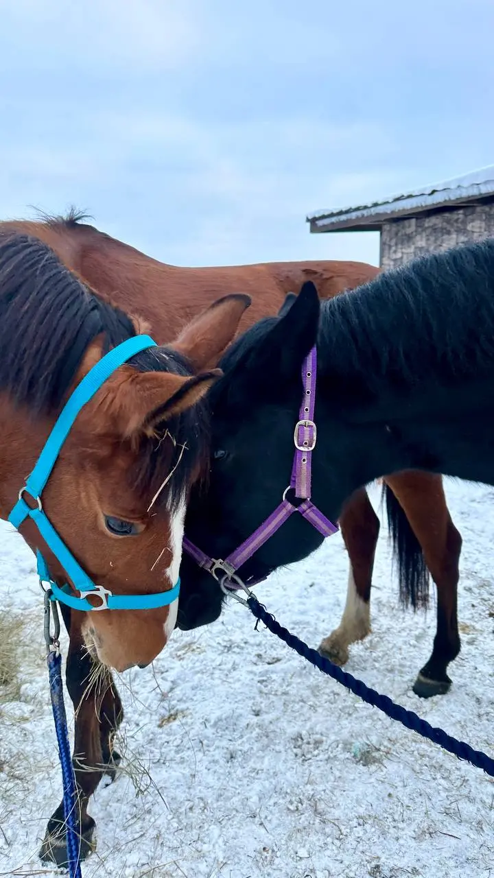 ❤️ | Сетка — социальная сеть от hh.ru
