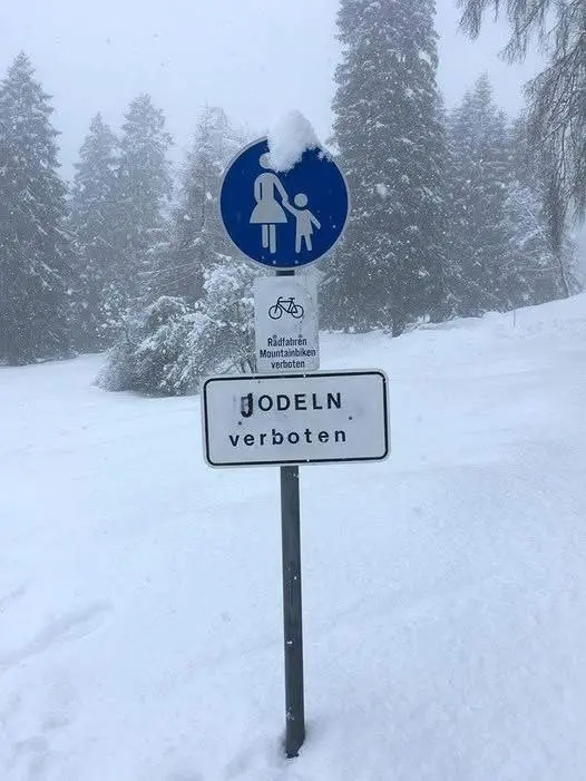 Альпийский юмор. RODELN verboten («Кататься на санках запрещено») --> JODELN verboten («Петь с тирольскими переливами запрещено») | Сетка — социальная сеть от hh.ru