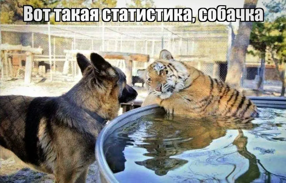 Как будто только-что написано. | Сетка — социальная сеть от hh.ru