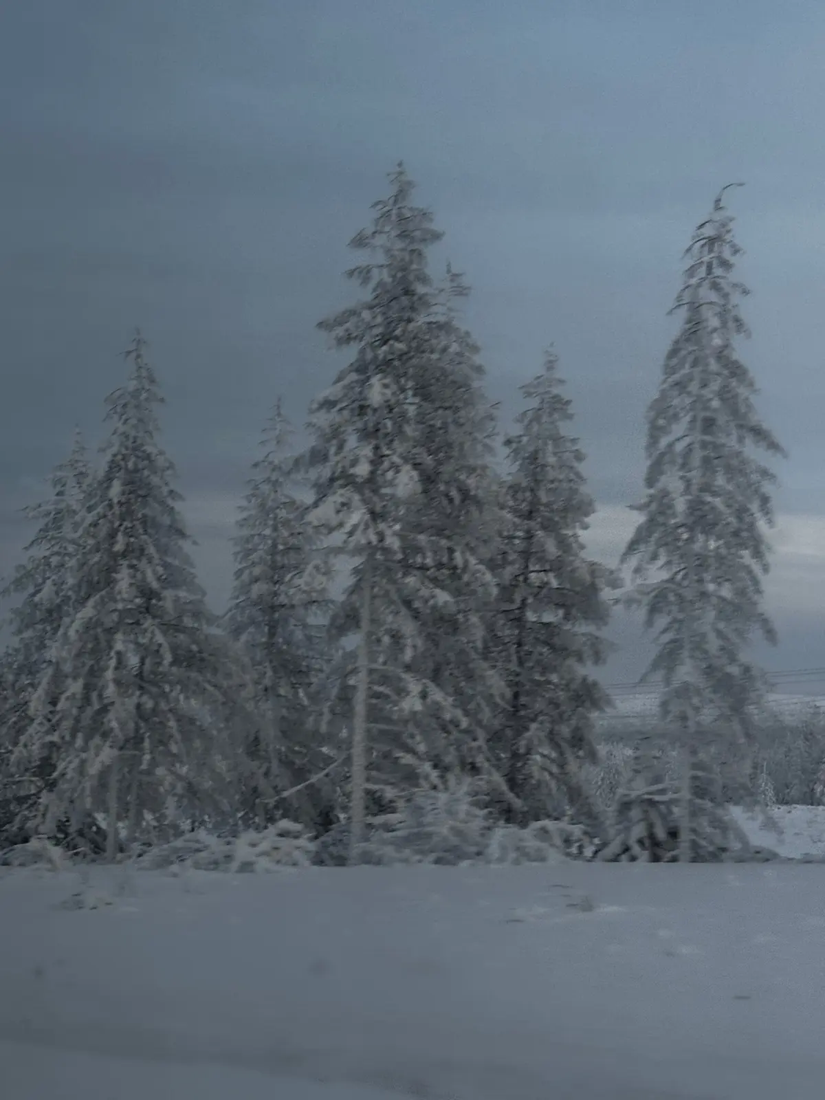 Этот Новый год я провел в командировке на крайнем севере. | Сетка — социальная сеть от hh.ru