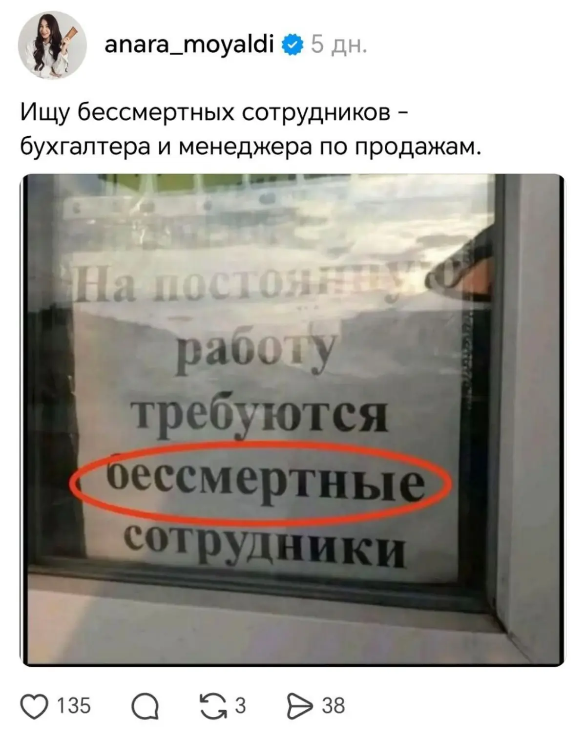 От работы дохнут кони,
Ну а я бессмертный пони 😄 | Сетка — социальная сеть от hh.ru