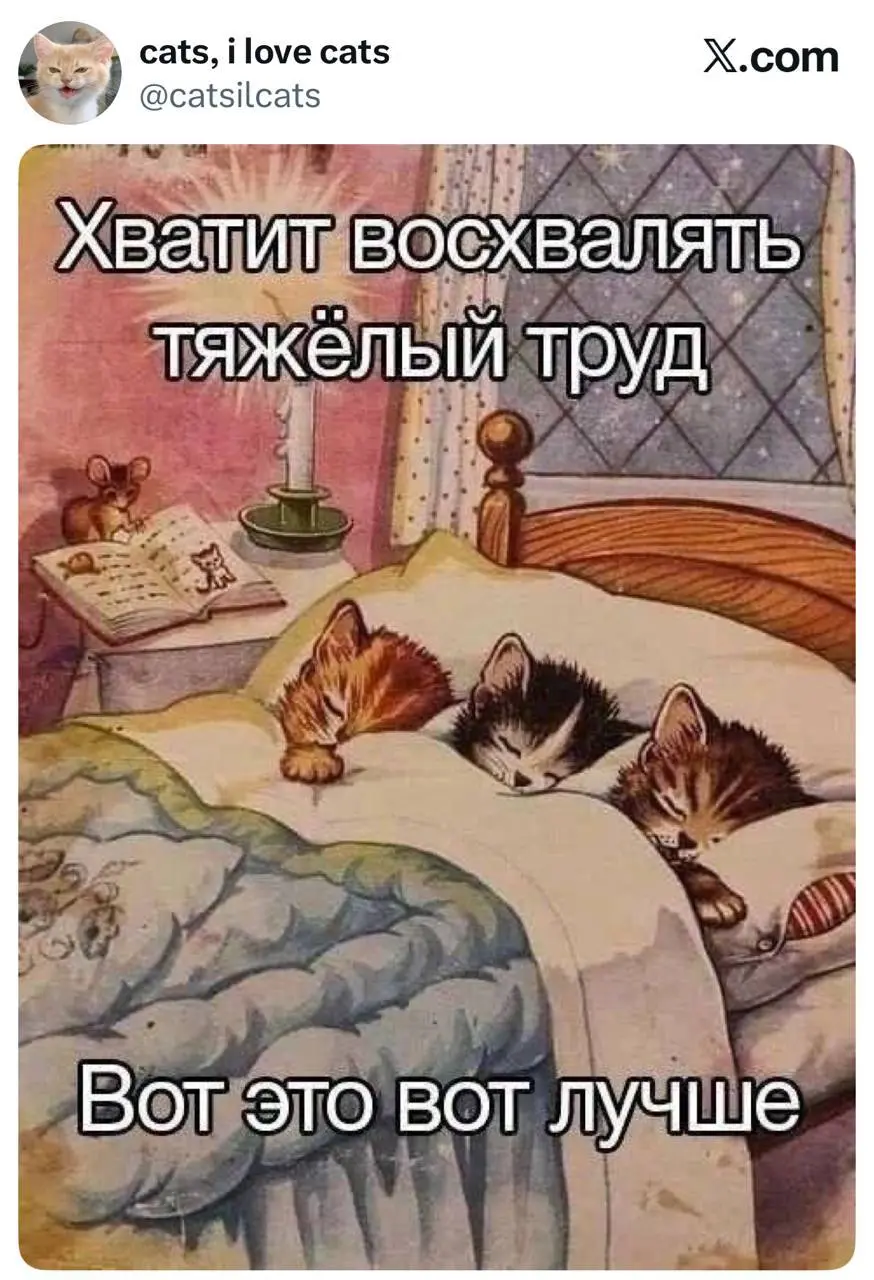 Вы знаете что делать в комментариях🤓
#мемнаяпятница | Сетка — социальная сеть от hh.ru