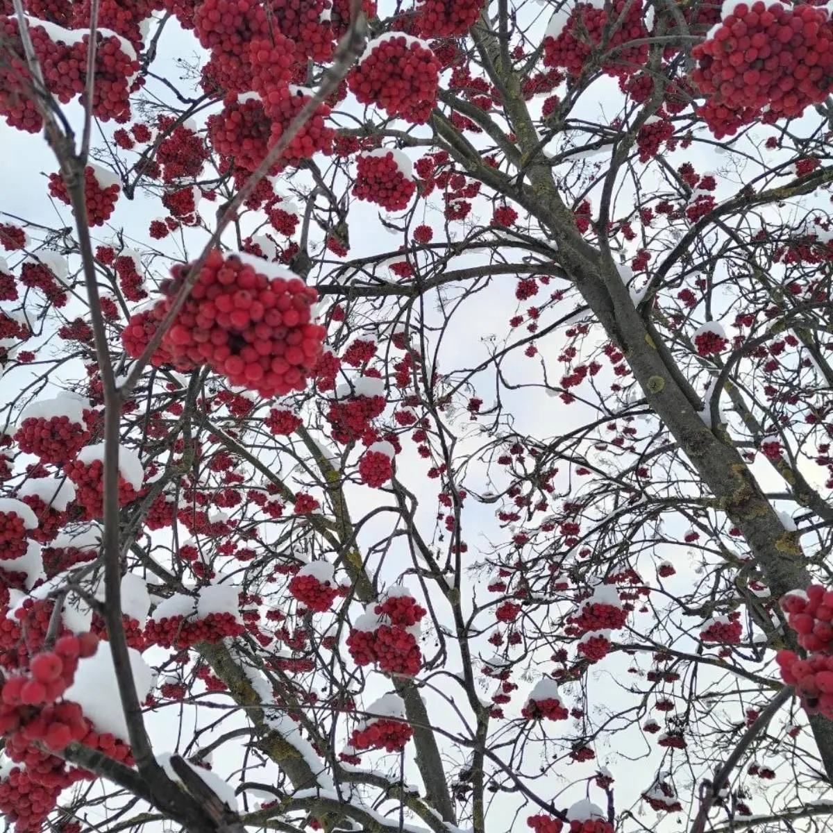 Татьяна Гирченко