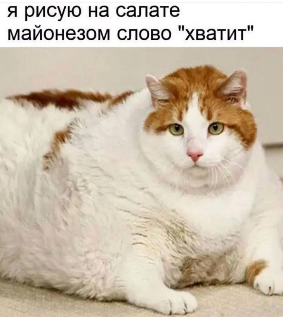 Кто знает, какой сегодня день недели? | Сетка — социальная сеть от hh.ru
