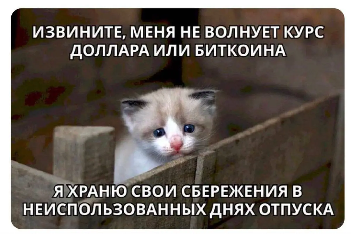 💼 Смена работы с понижением зарплаты | Сетка — социальная сеть от hh.ru