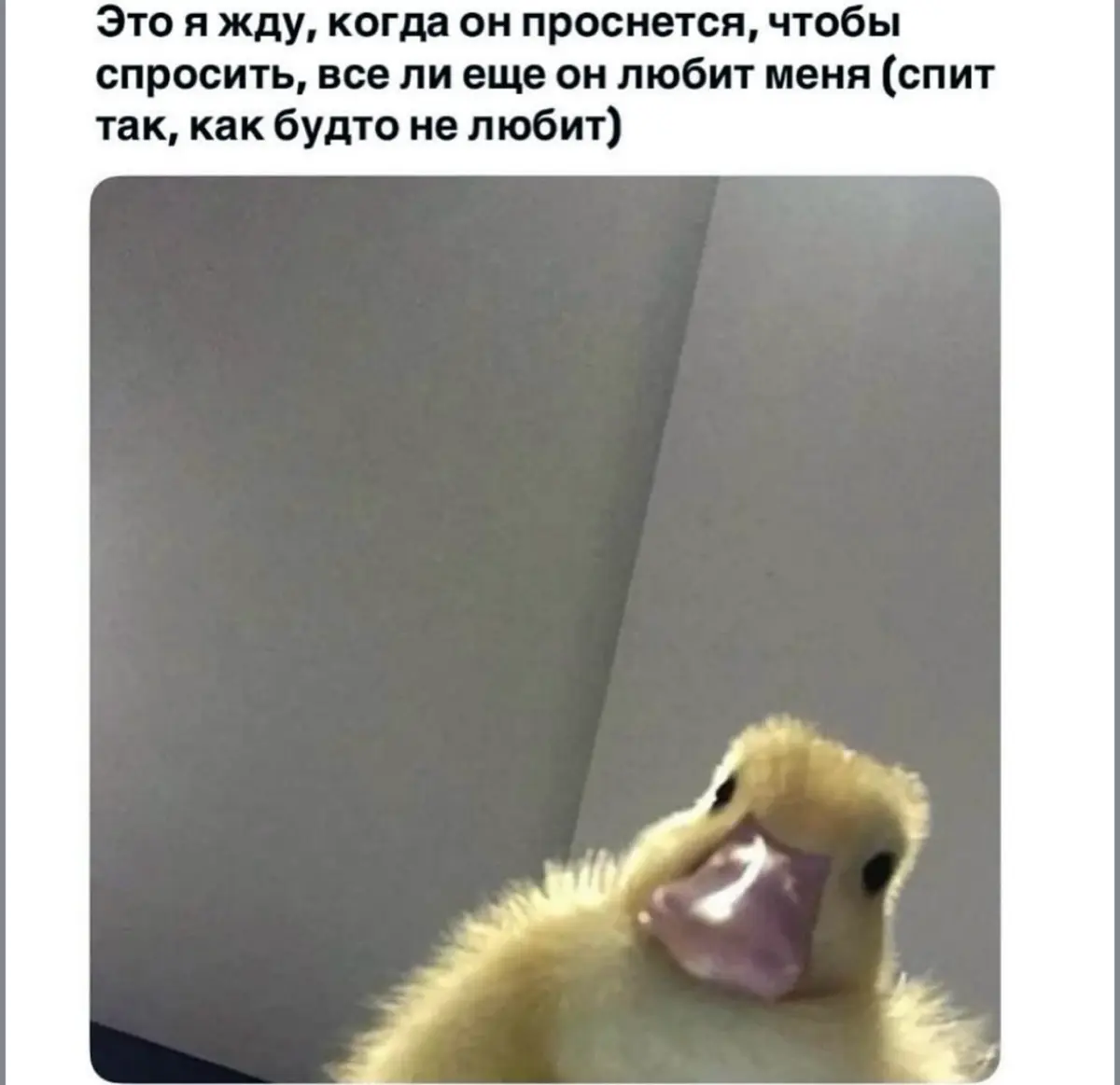 Иногда любовь говорит на другом языке. И его нужно услышать. | Сетка — социальная сеть от hh.ru