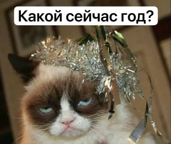 Шел 10-й день отдыха.
Режим не просто сбит - он свергнут 😁
Организм живёт по часовому поясу «когда проснулась - тогда и утро» | Сетка — социальная сеть от hh.ru