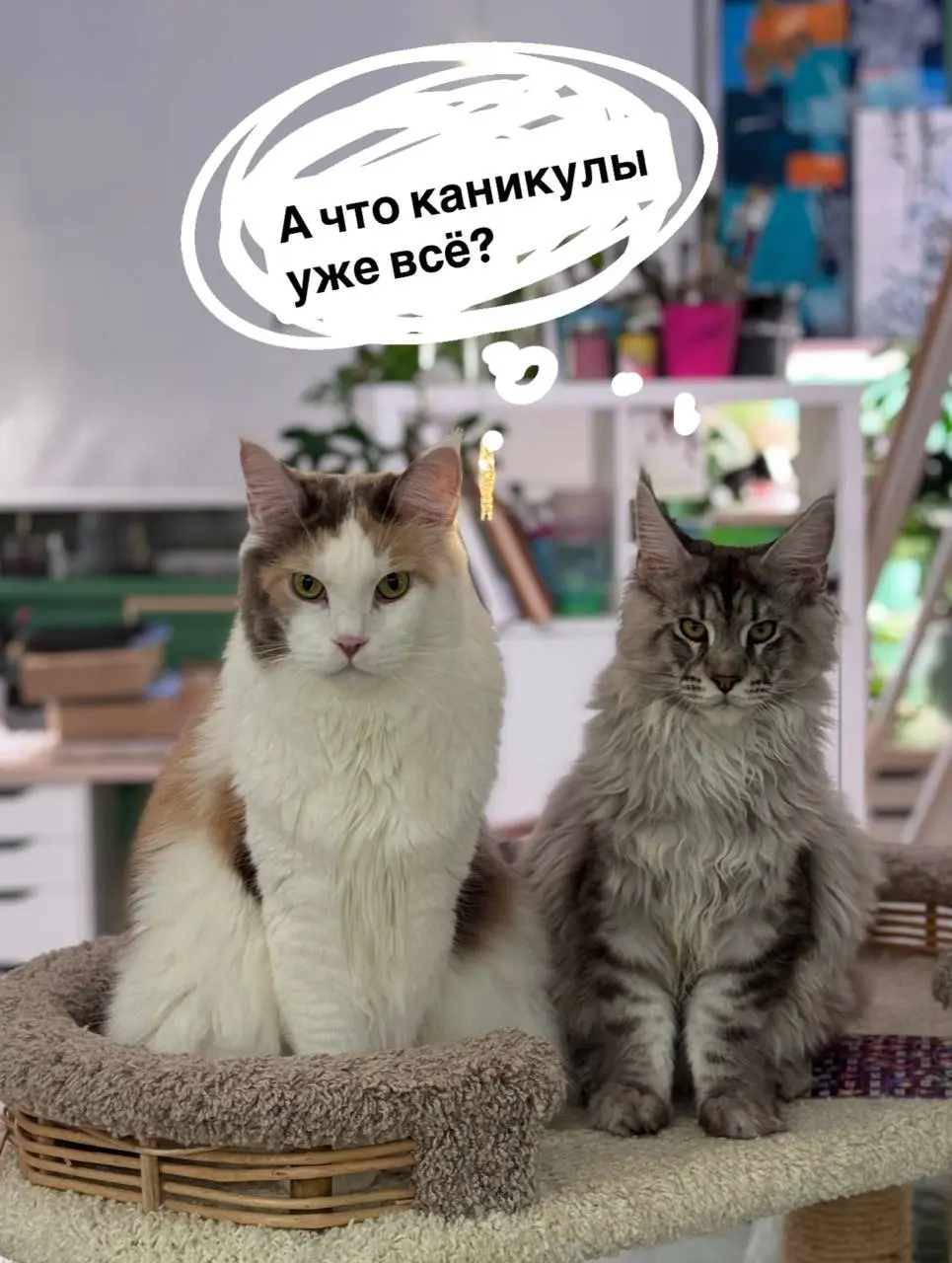 Друзья! Сегодня последний день длинных каникул, расскажите как отдохнули? Появились силы на новые проекты? Как дела у вас? 😏 | Сетка — социальная сеть от hh.ru