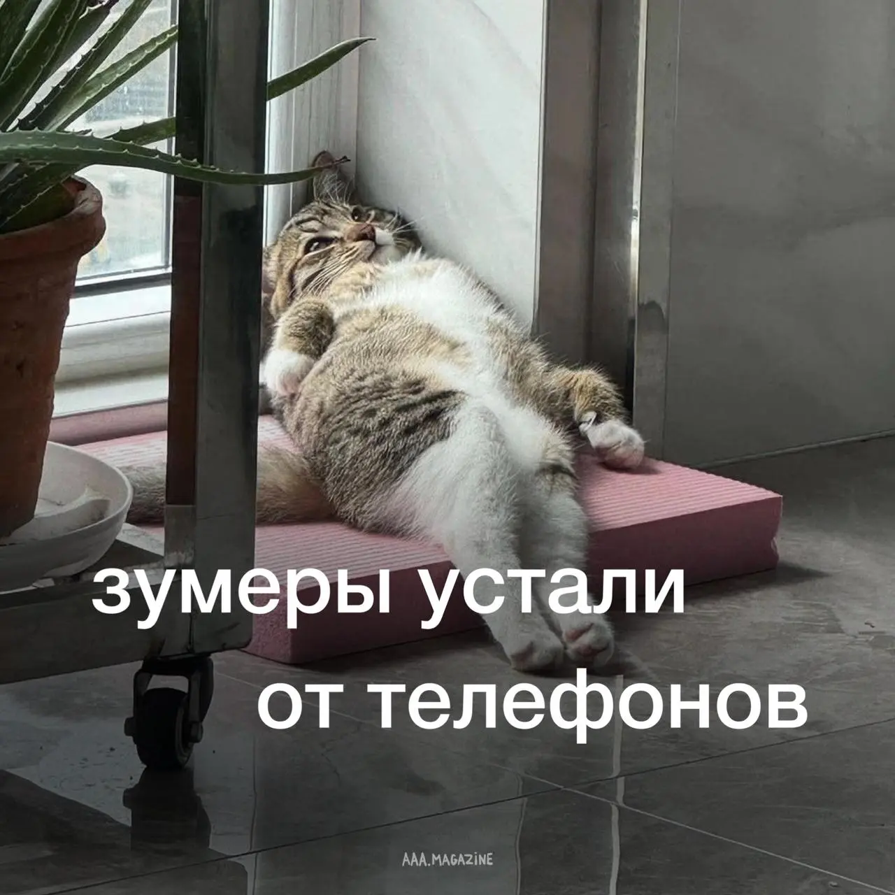 Зумеры, выросшие с гаджетами в руках, сегодня активнее всех стремятся к цифровому детоксу.
Согласно свежим исследованиям, 63% молодёжи сознательно ограничивает использование телефонов | Сетка — социальная сеть от hh.ru