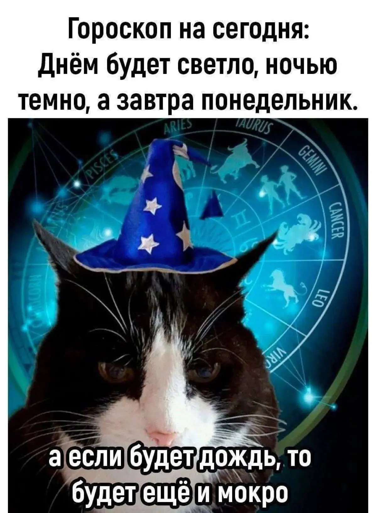 Предсказываю. | Сетка — социальная сеть от hh.ru