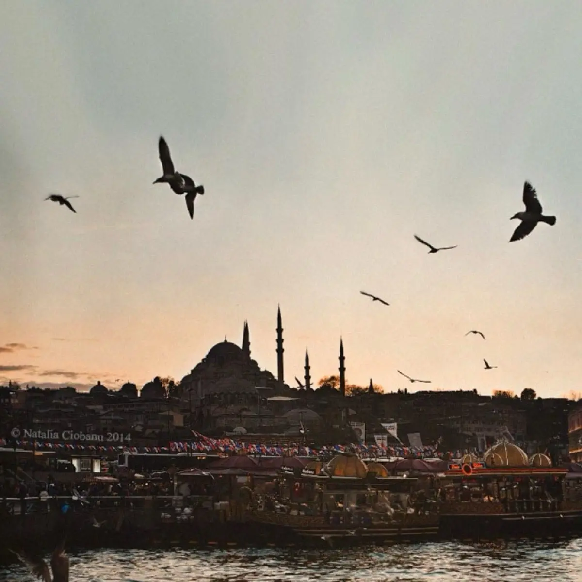 Мария Обломий | Сетка — социальная сеть от hh.ru