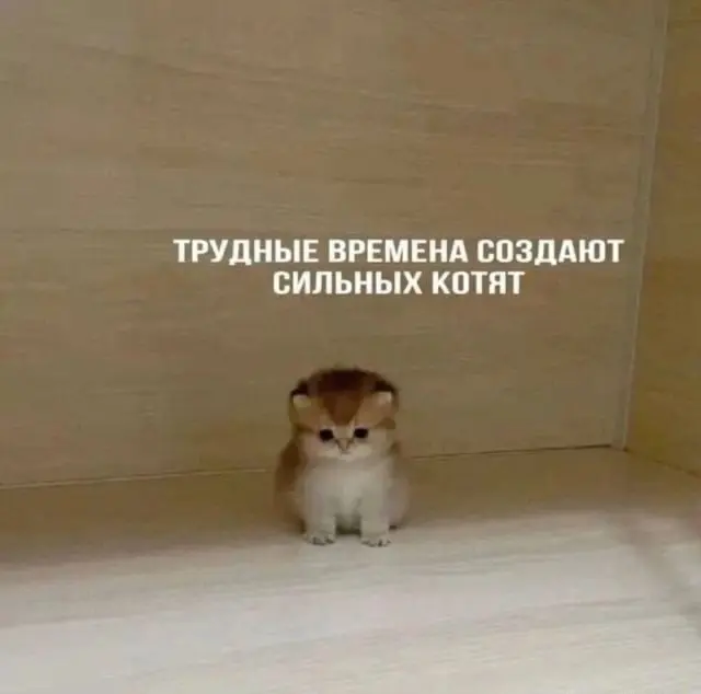 Айти не всё. | Сетка — социальная сеть от hh.ru