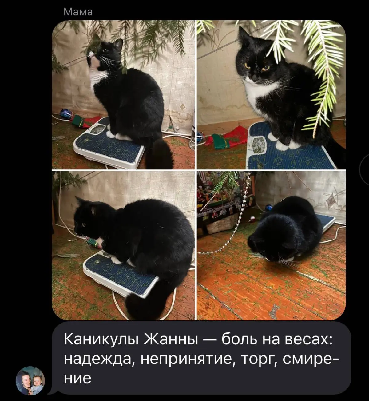 Хватит отдыхать! | Сетка — социальная сеть от hh.ru