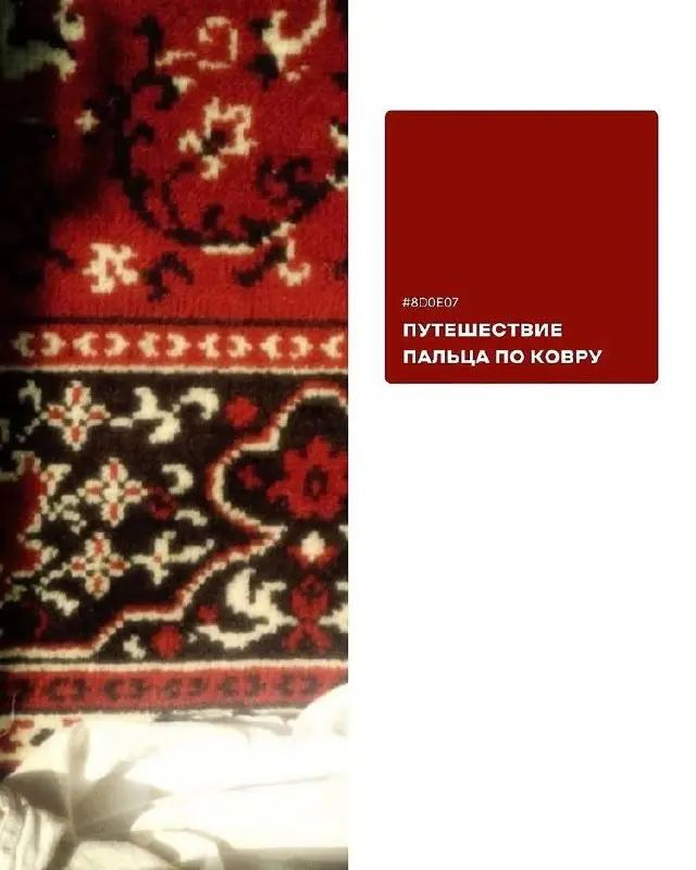 Сетка — социальная сеть от hh.ru