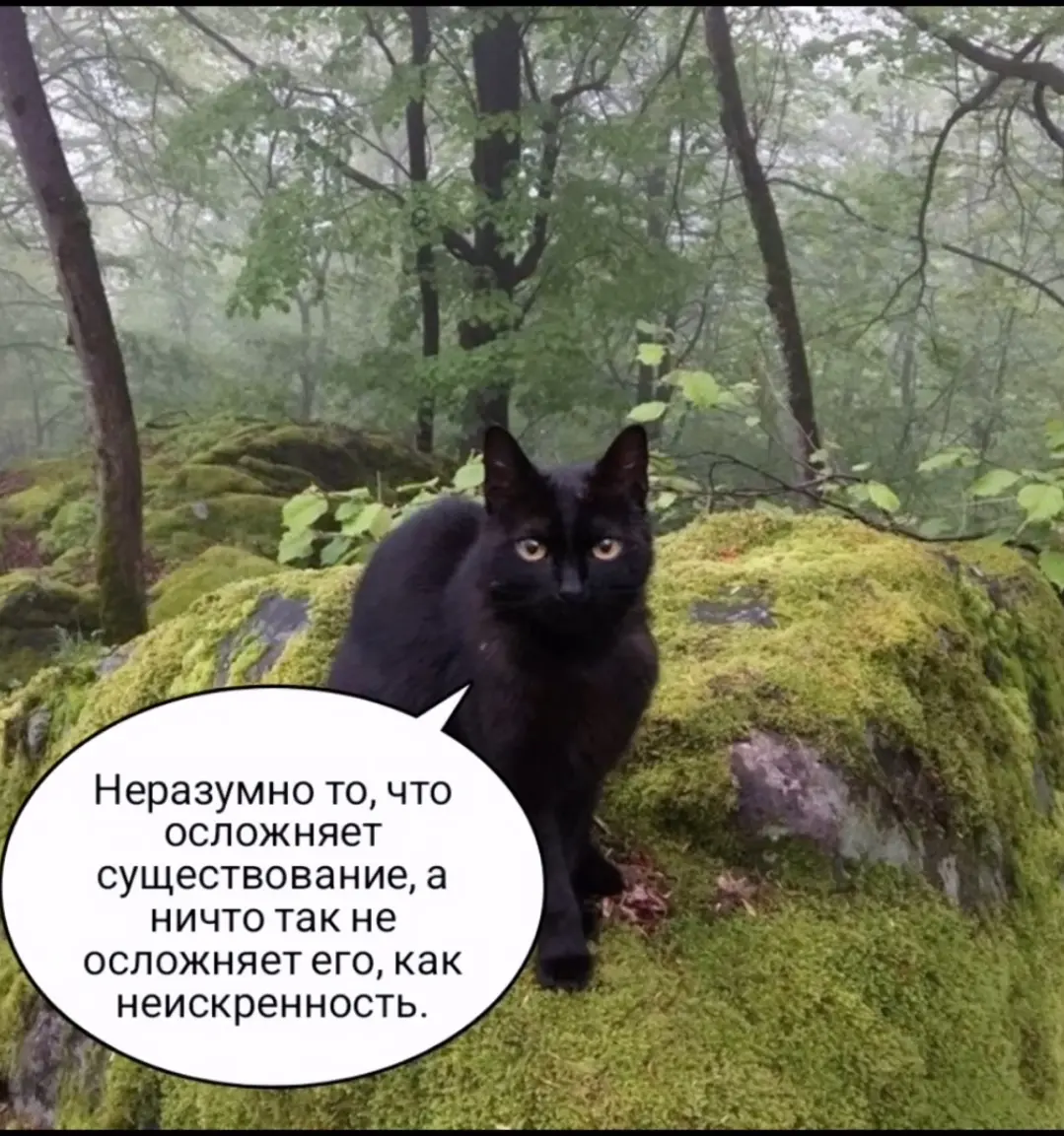 Согласны? Узнали? Откликается? | Сетка — социальная сеть от hh.ru