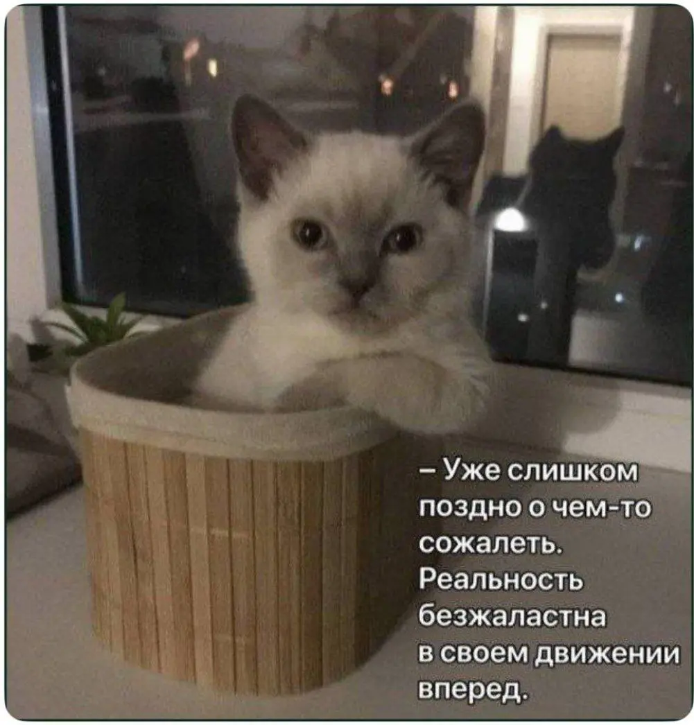 Ну што же, всех с началом нового рабочего года ⌨️ | Сетка — социальная сеть от hh.ru
