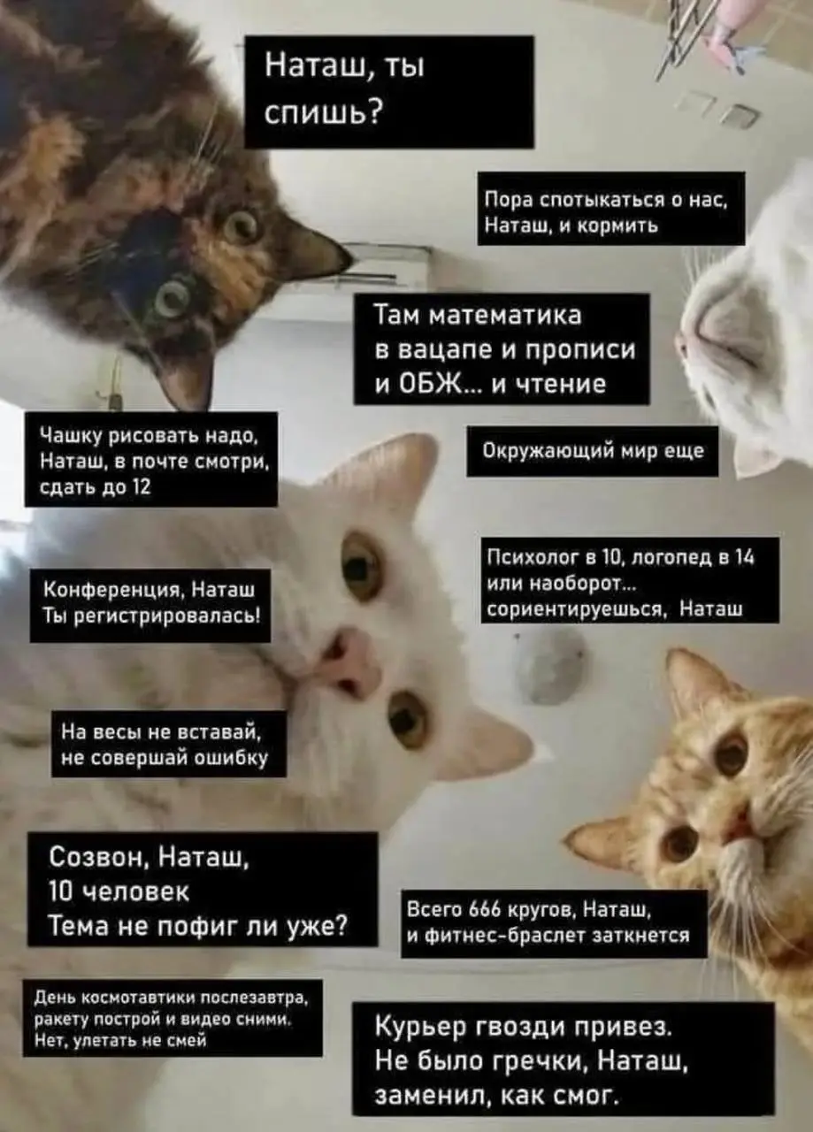 Доброе утро, друзья!☕️
С началом трудовых будней! На сегодня у меня фсее)🎄 | Сетка — социальная сеть от hh.ru