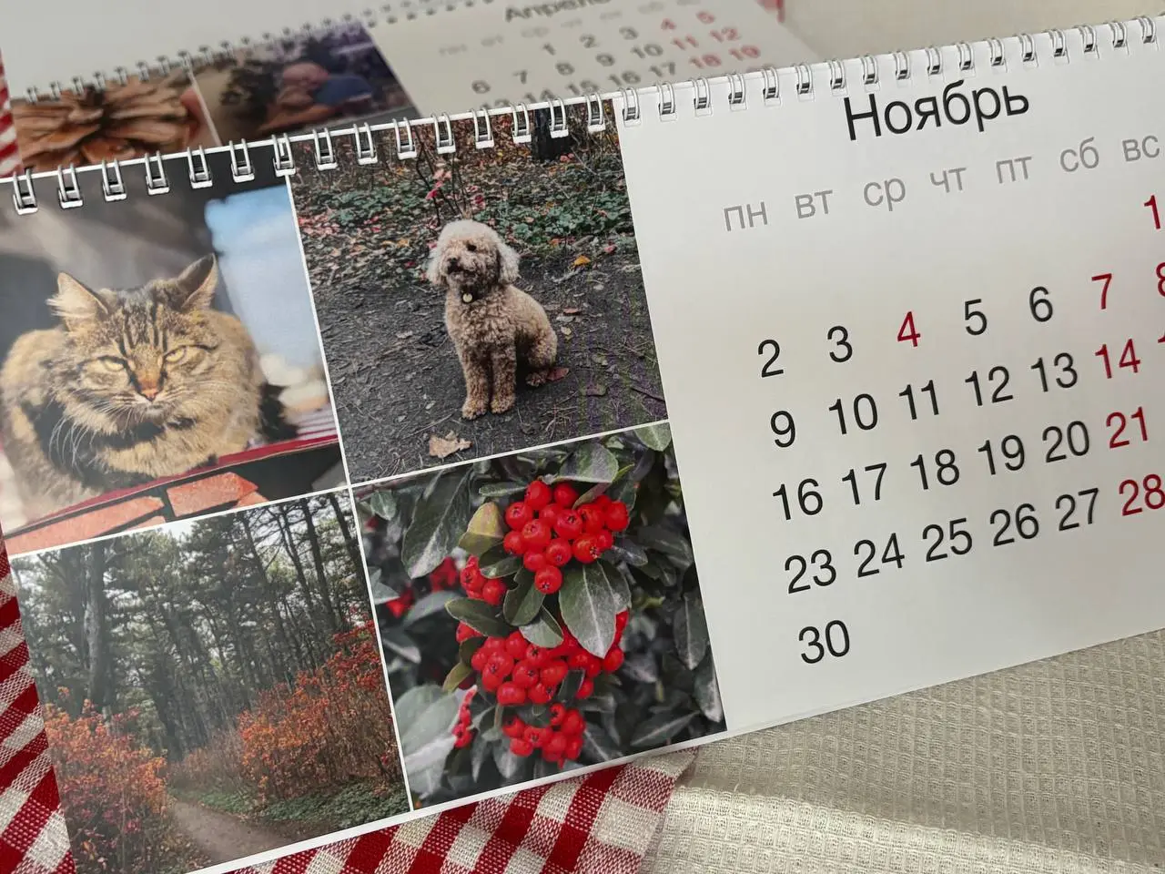 Делюсь календарем, который я делала на подарок любимым дедушке и бабушке ☺️
Портфолио и связь
#календарь@prsndvdesign | Сетка — социальная сеть от hh.ru